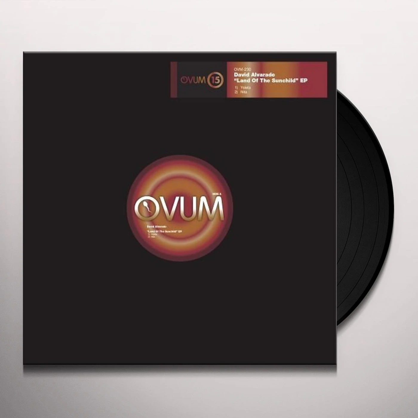 David Alvarado Land of the Sunchild Vinyl Record