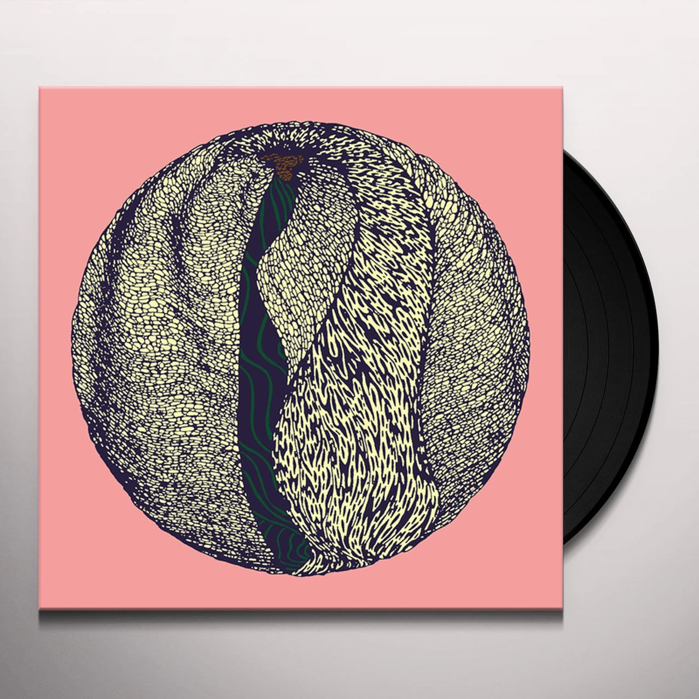 Fleur OUTBREAKER Vinyl Record