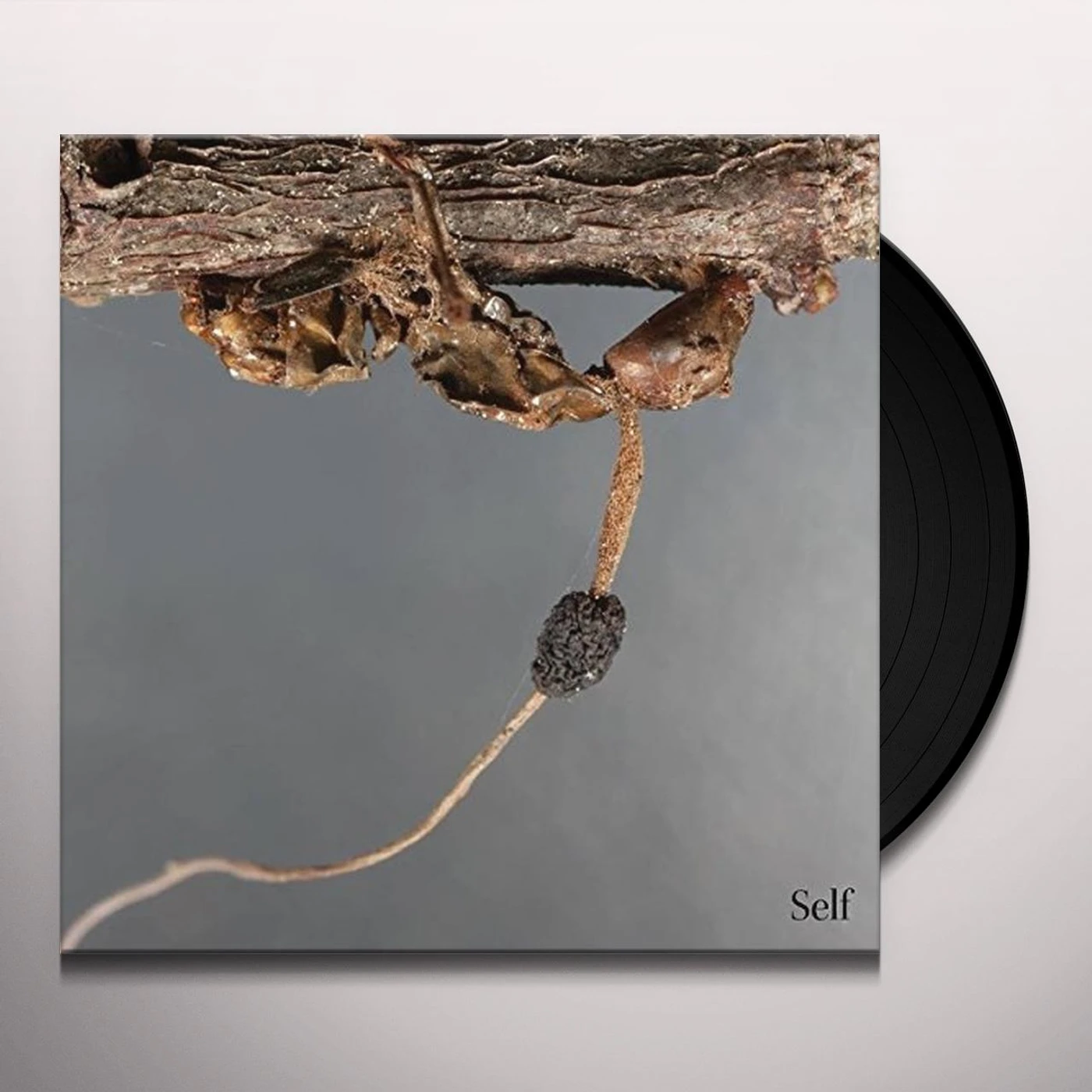 Terzij de Horde Self Vinyl Record