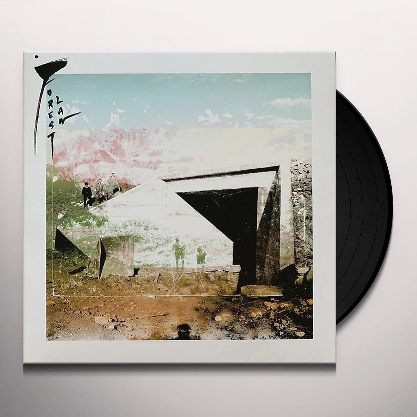 Forest Law Vinyl Record