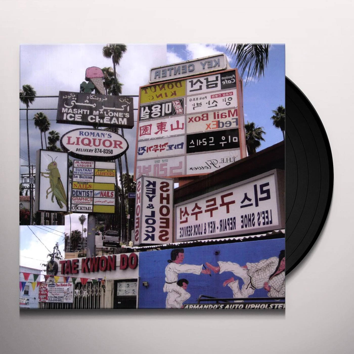 Matthew Friedberger Cut it Out Vinyl Record