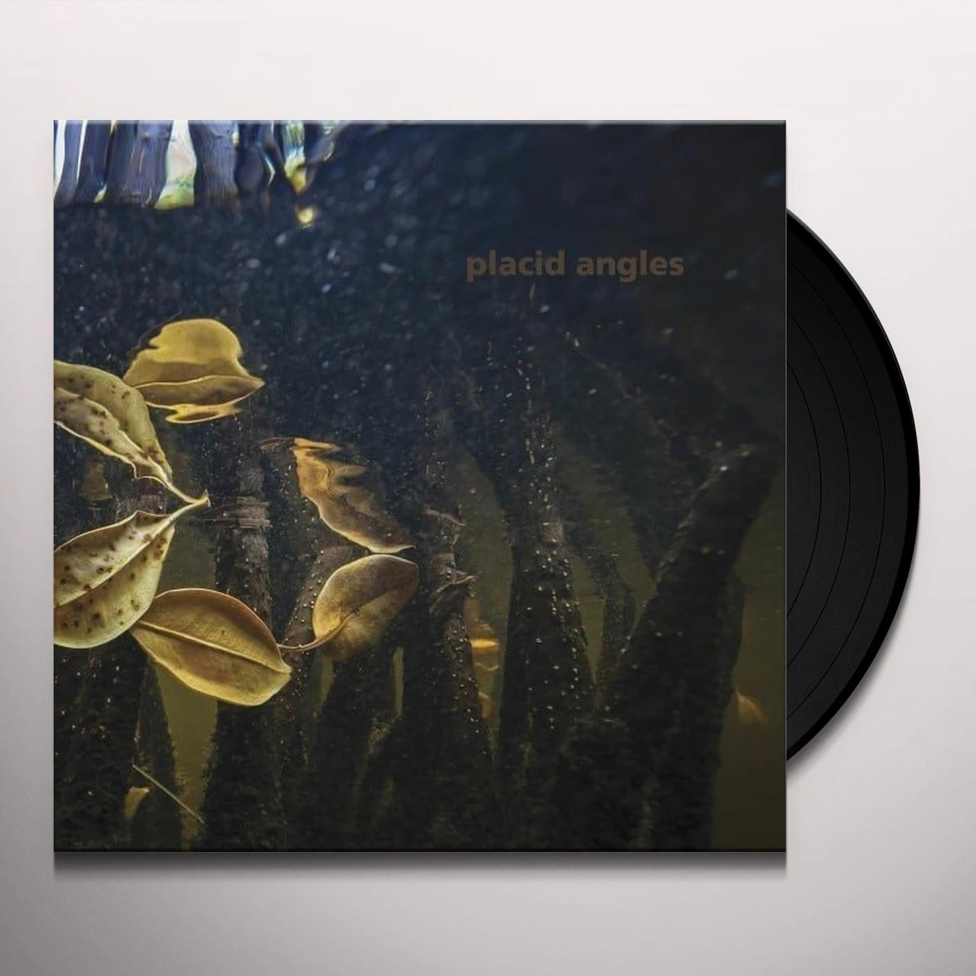 Placid Angles Touch The Earth Vinyl Record