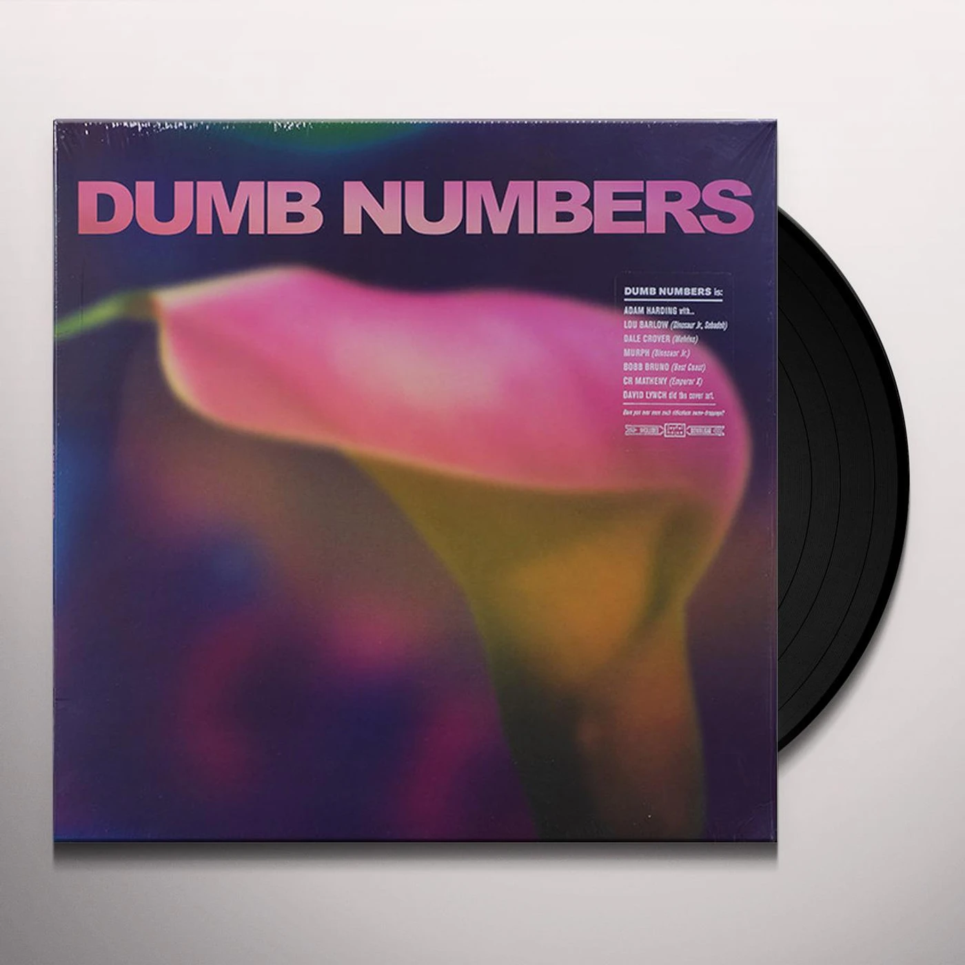 Dumb Numbers Vinyl Record