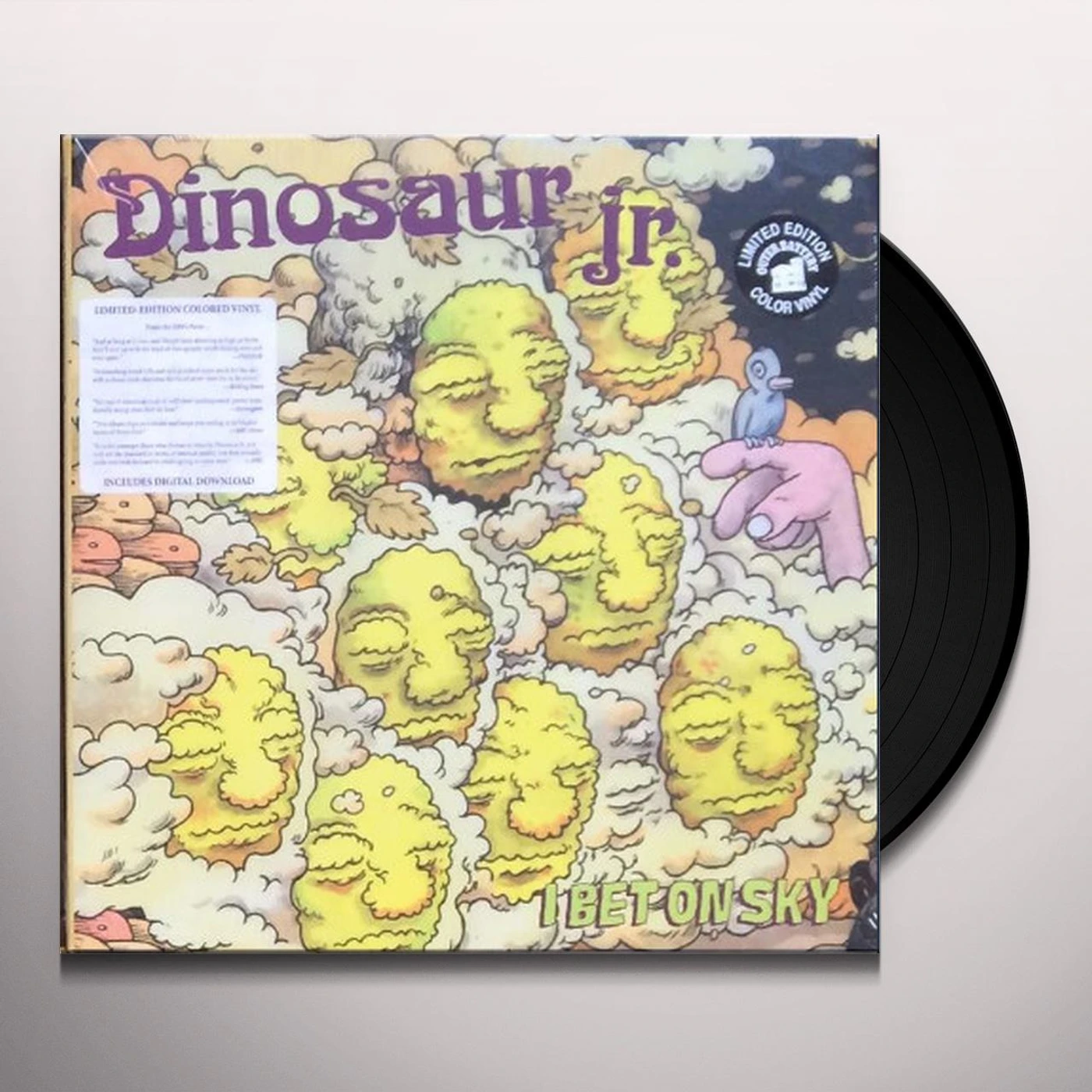 Dinosaur Jr. I BET ON SKY Vinyl Record