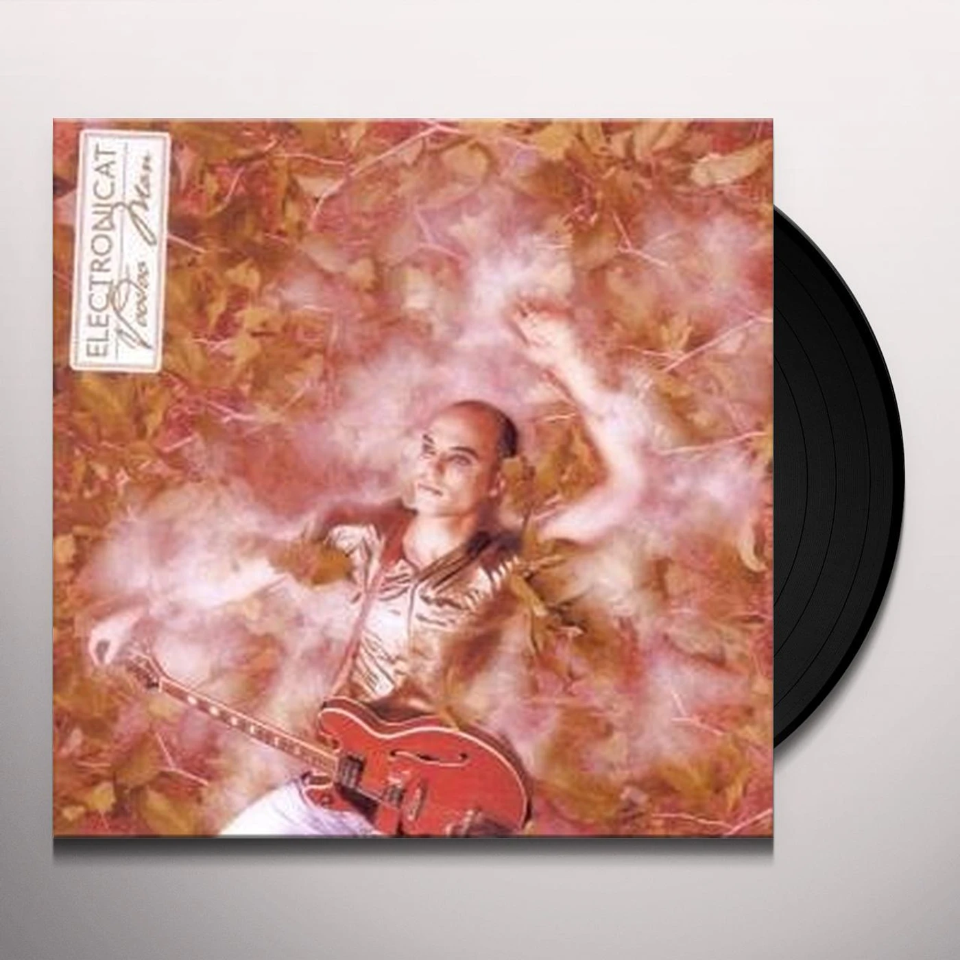 Electronicat Voodoo Man Vinyl Record