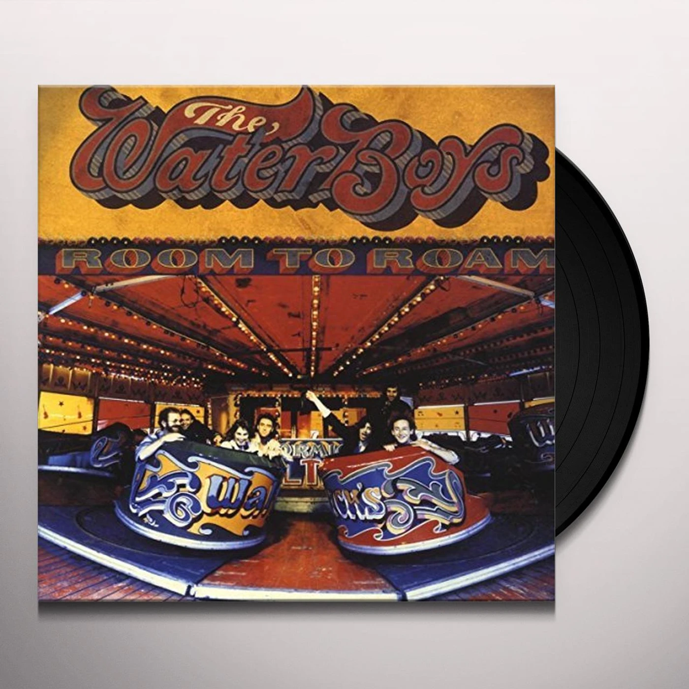 The Waterboys ROOM TO ROAM Vinyl Record