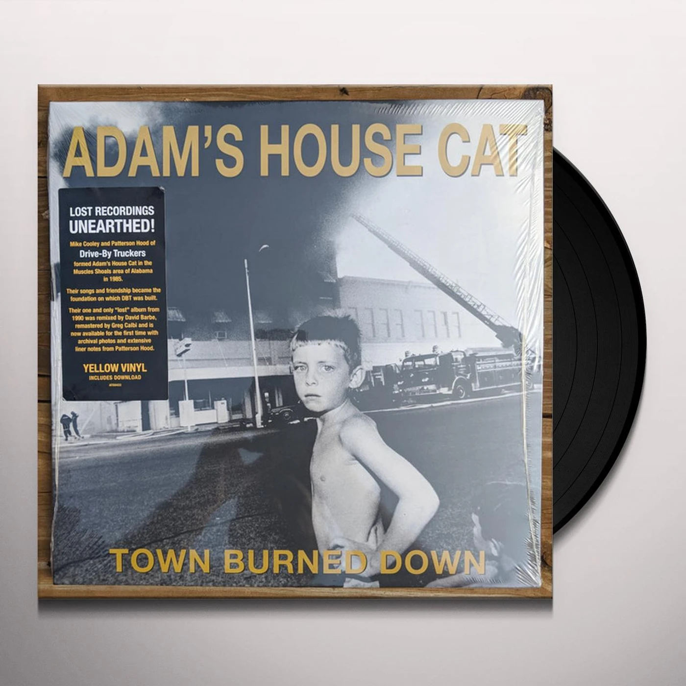 Adam's House Cat Town Burned Down Vinyl Record