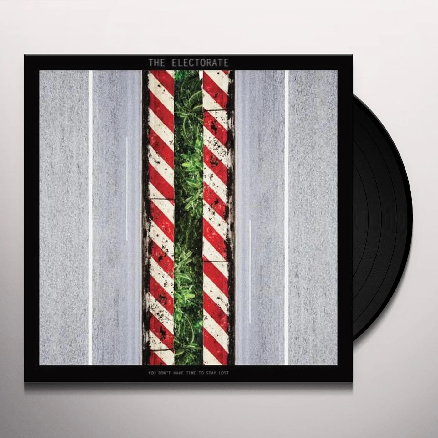 The Electorate YOU DON'T HAVE TIME TO STAY LOST Vinyl Record