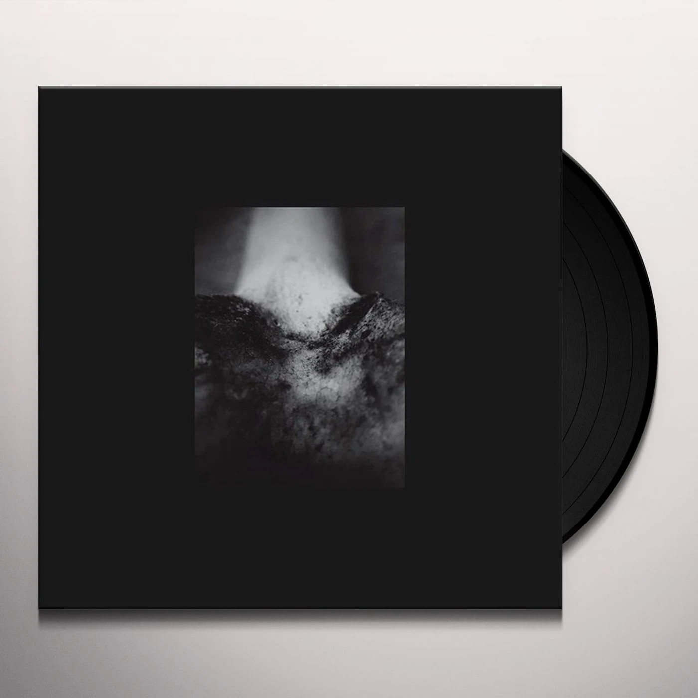 Common Eider, King Eider WOUND OF BODY Vinyl Record