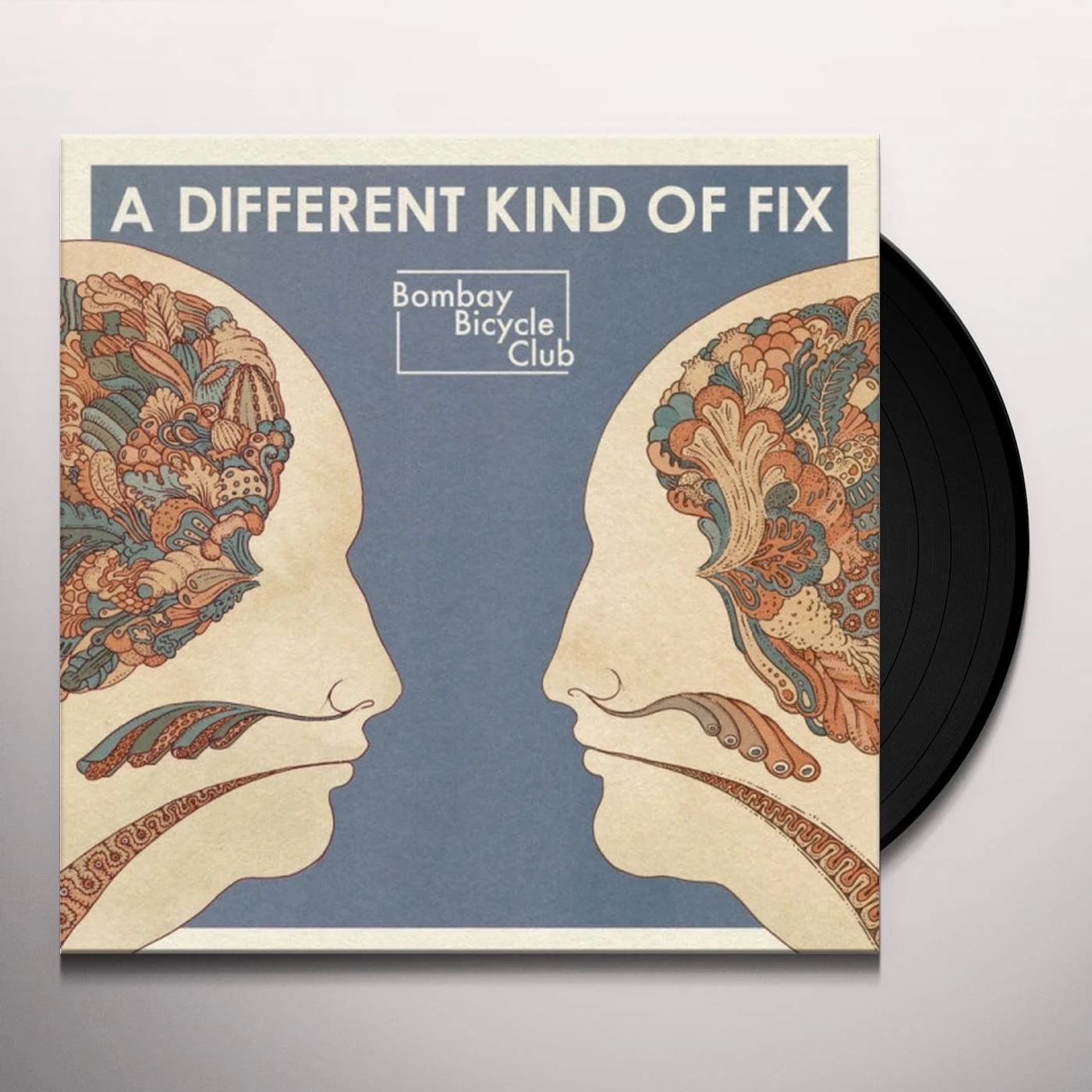 Bombay Bicycle Club DIFFERENT KIND OF FIX Vinyl Record