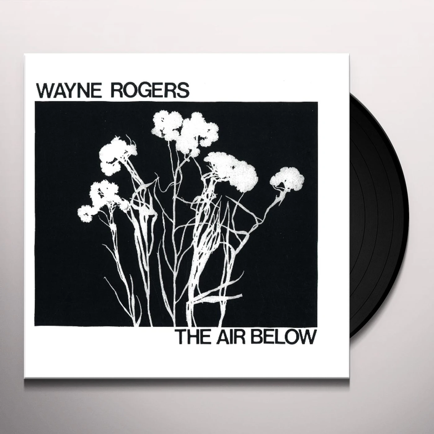 Wayne Rogers AIR BELOW Vinyl Record