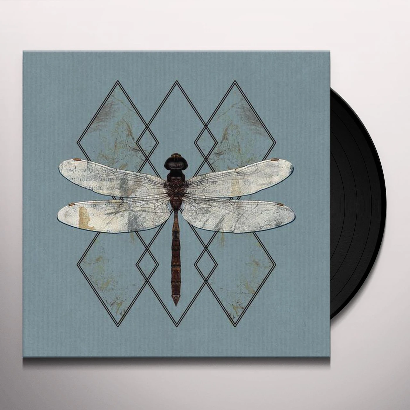 Ohhms Close Vinyl Record