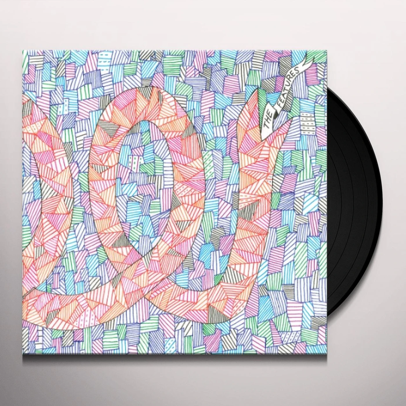 The Features Vinyl Record