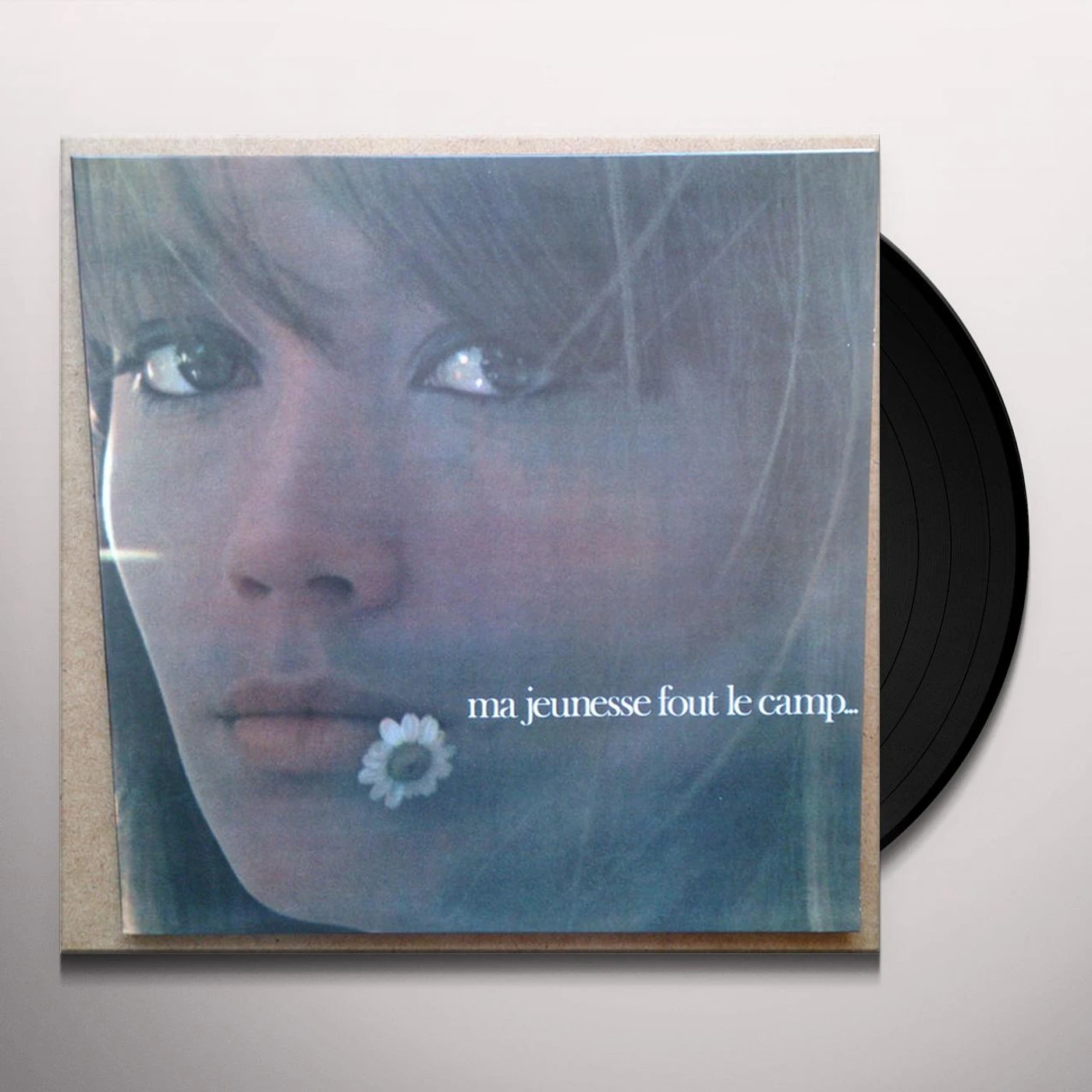 Françoise Hardy MA JEUNESSE FOUT LE CAMP Vinyl Record