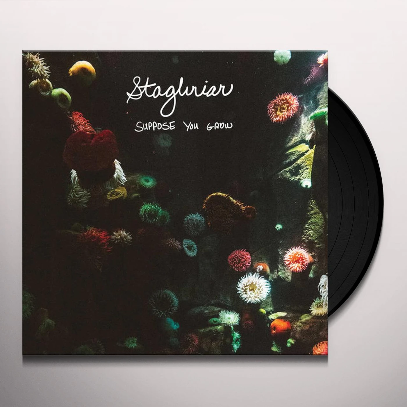 Stagbriar Suppose You Grow Vinyl Record
