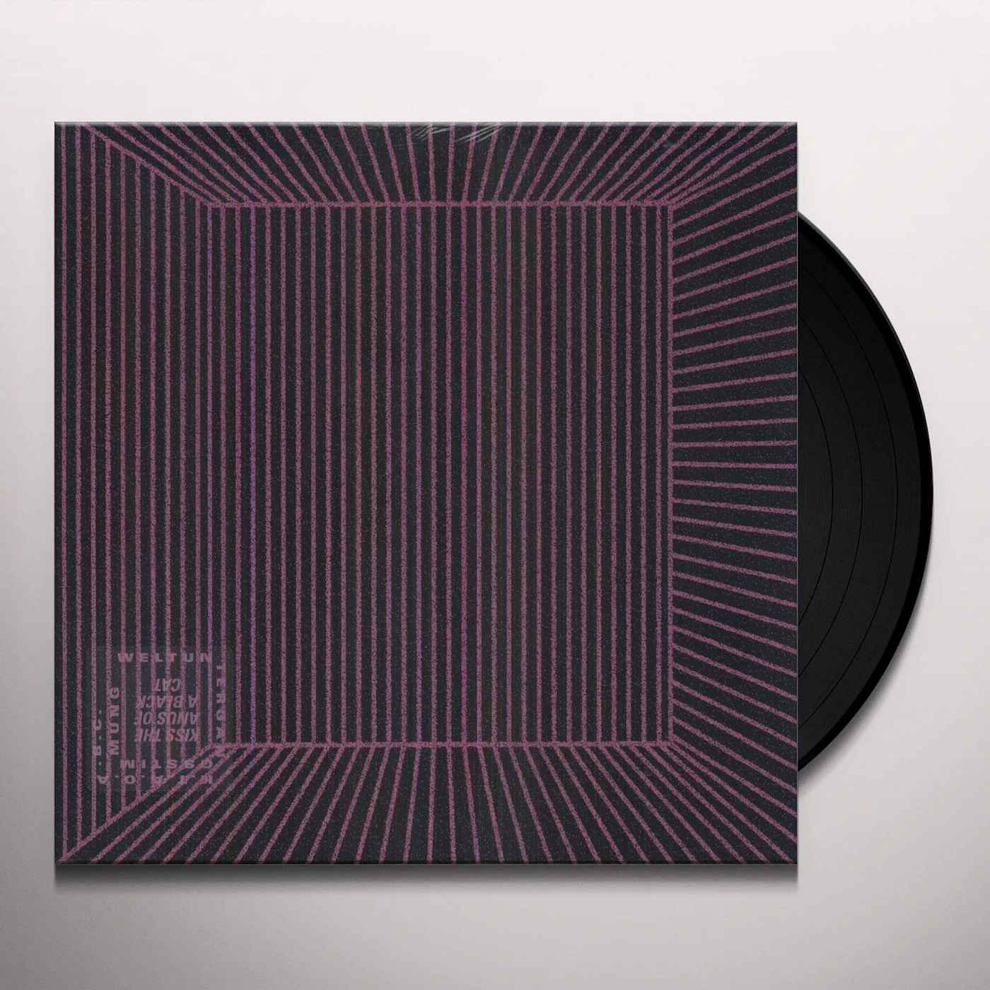 kiss the anus of a black cat Weltuntergangsstimmung Vinyl Record