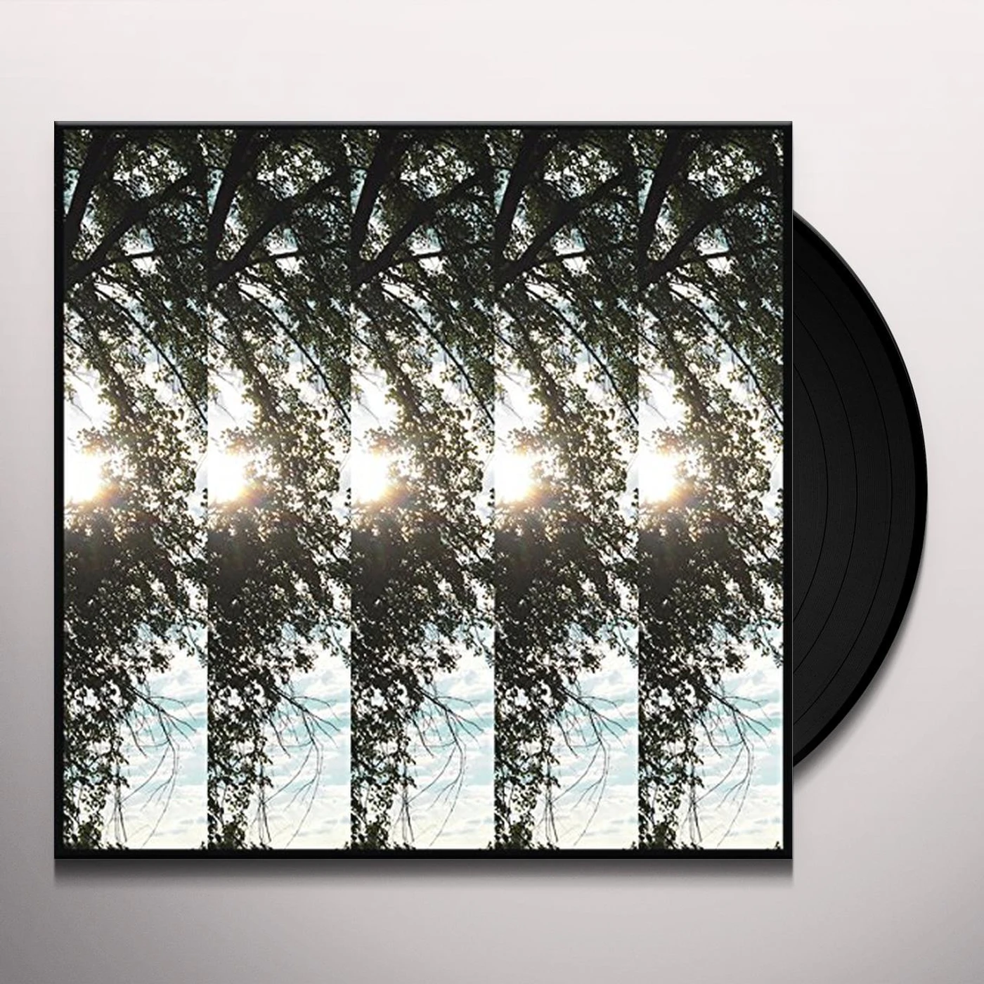 Pontiak Dialectic of Ignorance Vinyl Record