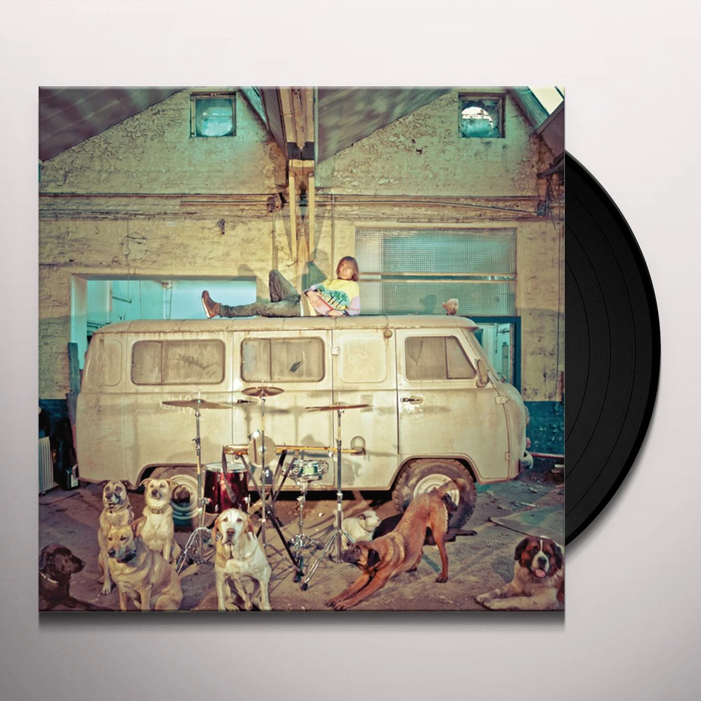 Use Chien d'la casse Vinyl Record