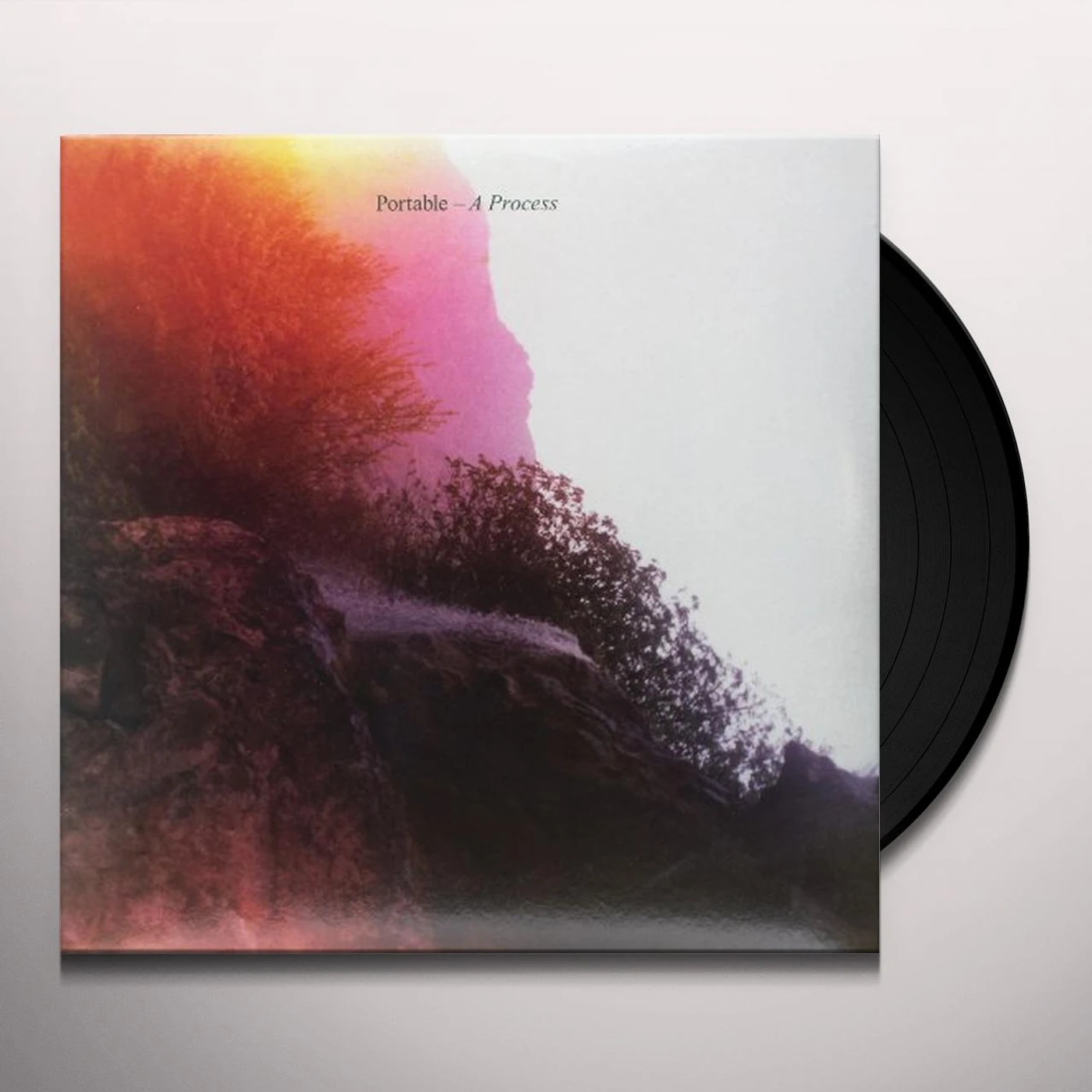 Portable PROCESS Vinyl Record