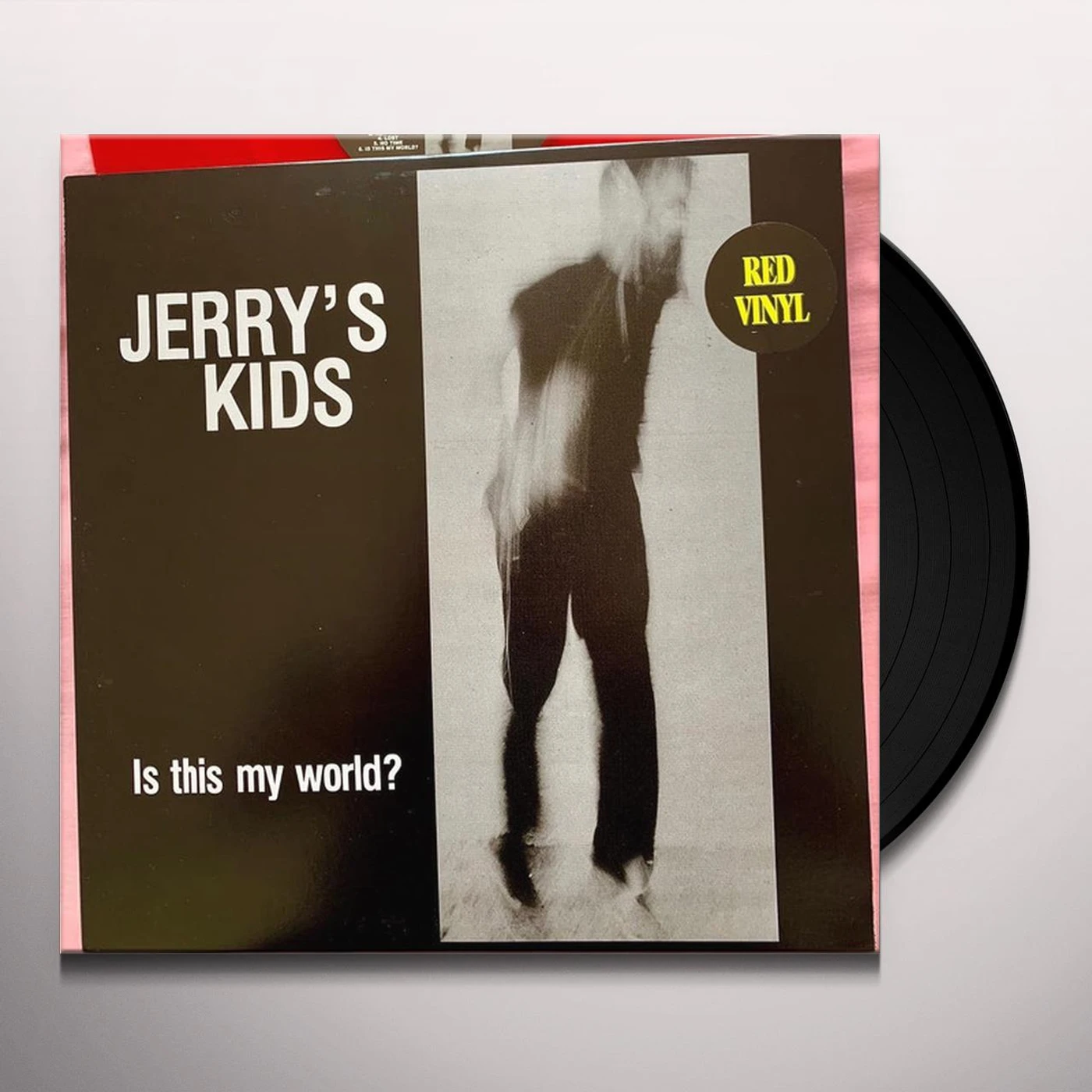 Jerry's Kids IS THIS MY WORLD Vinyl Record