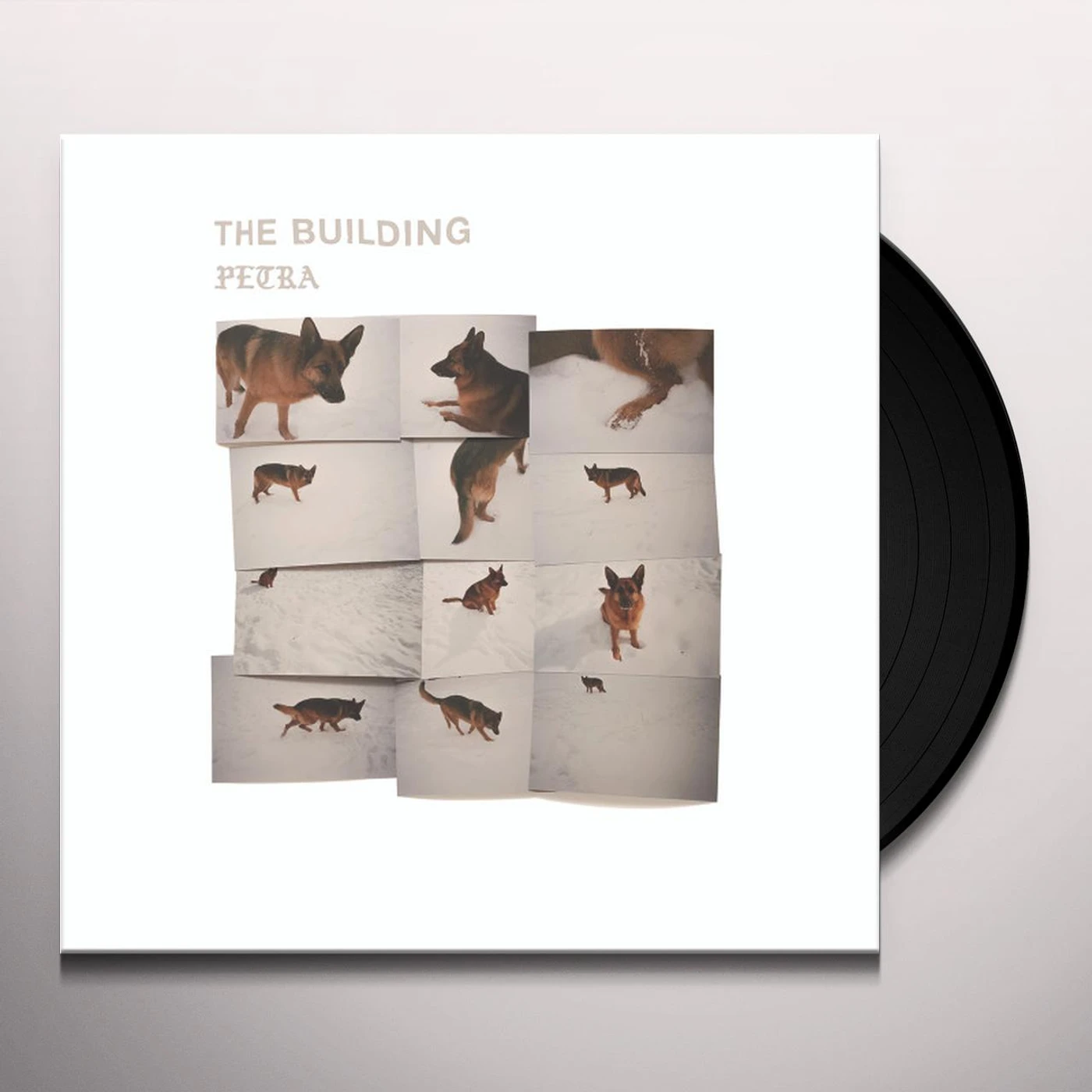 Building PETRA Vinyl Record