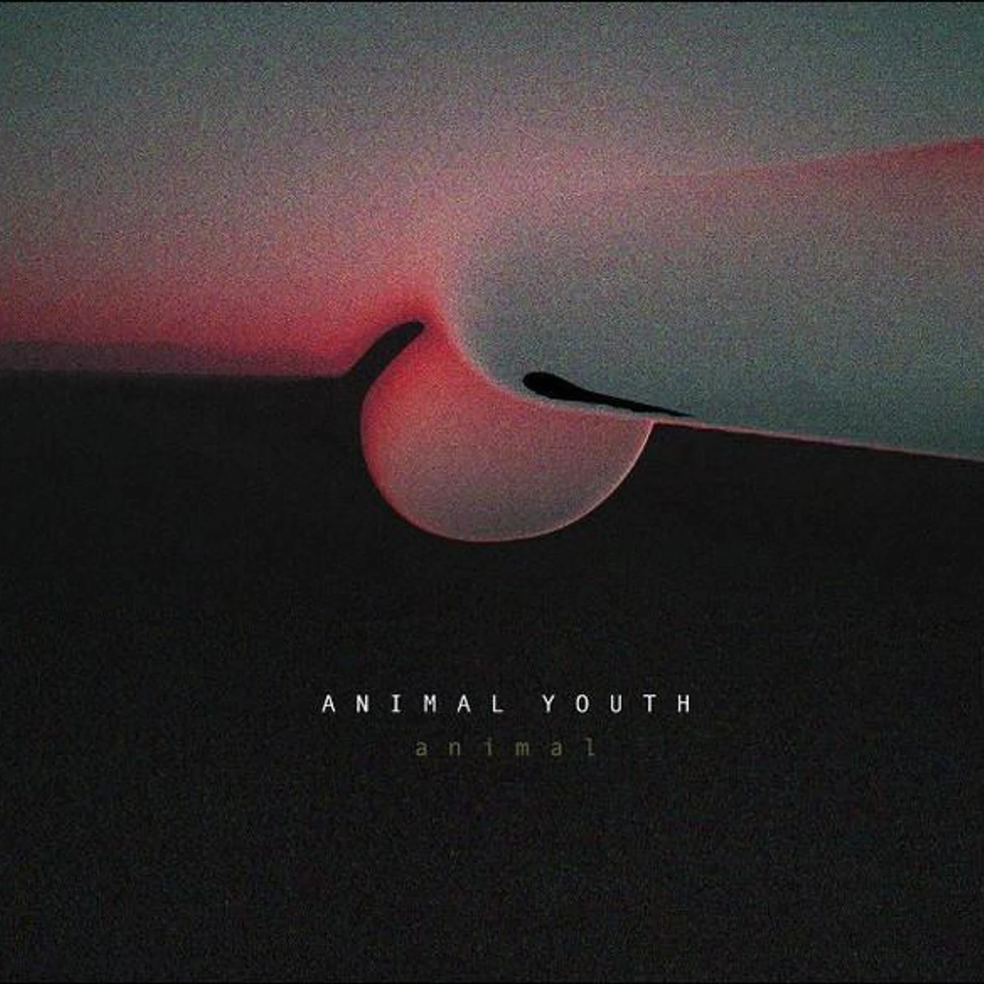 Animal Youth ANIMAL Vinyl Record