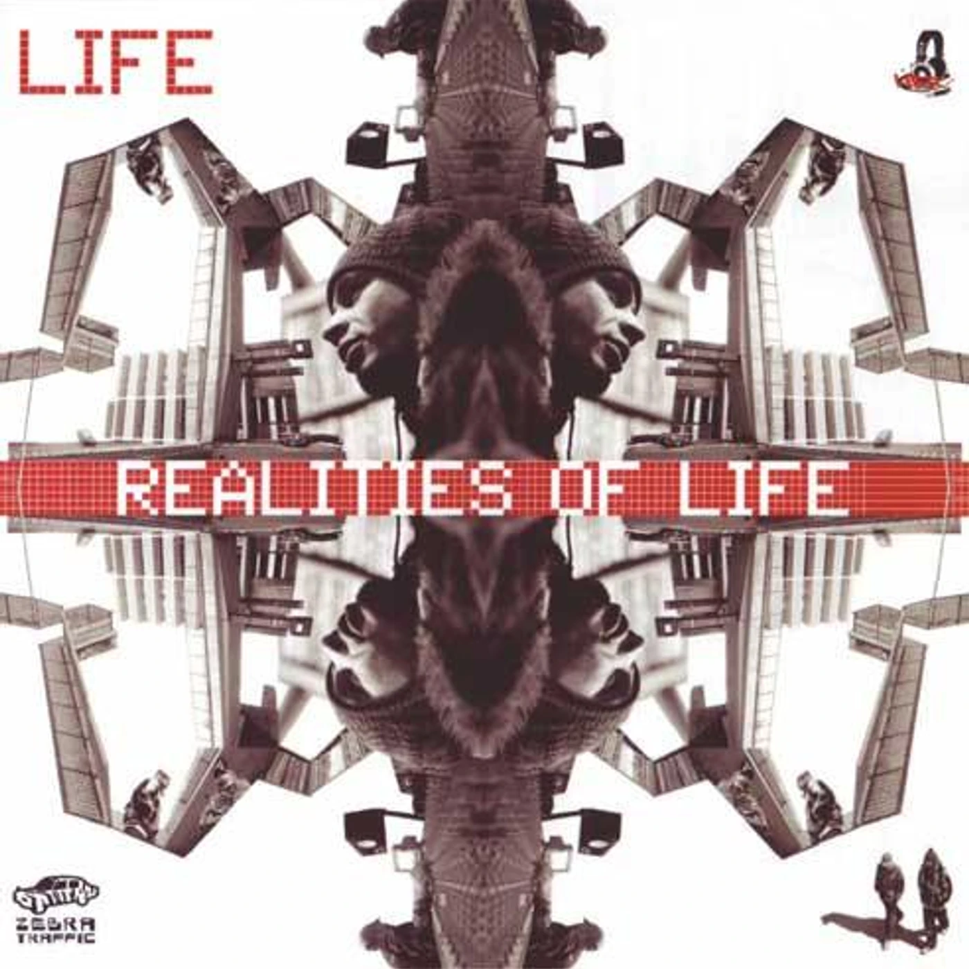 REALITIES OF LIFE Vinyl Record
