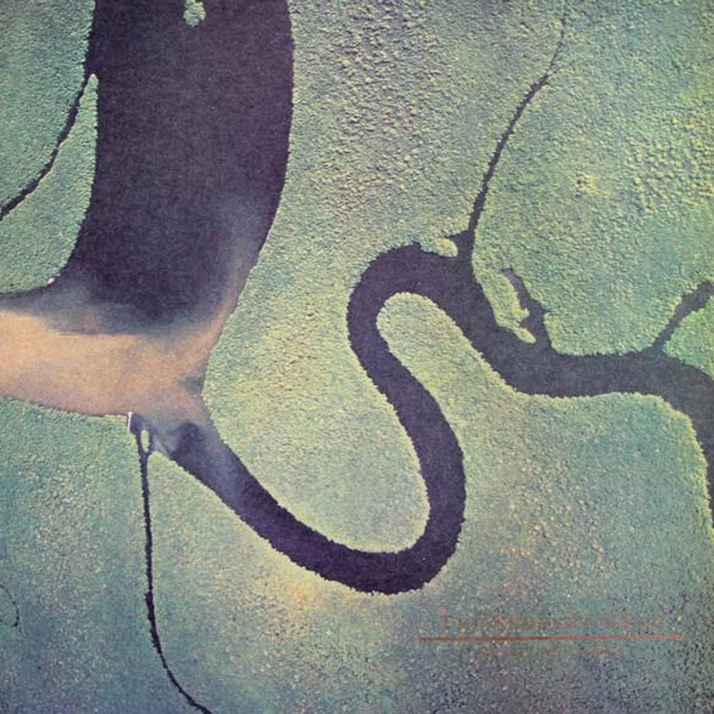 Dead Can Dance SERPENTS EGG (OGV) (Vinyl)