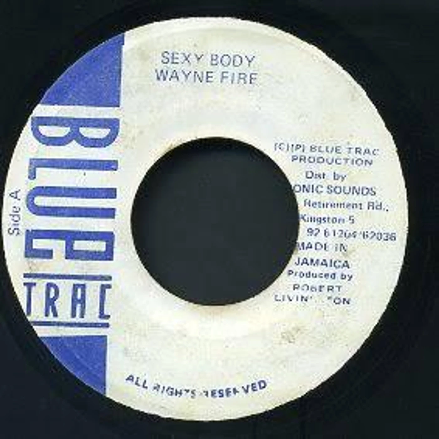 Wayne Fire SEXY BODY Vinyl Record
