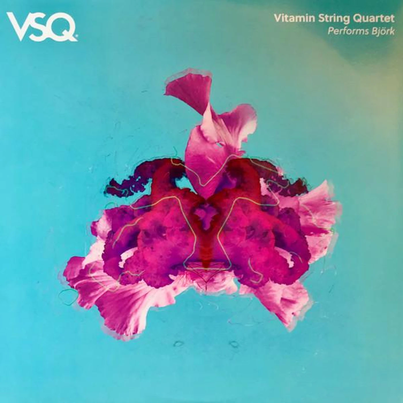 Vitamin String Quartet PERFORMS BJORK Vinyl Record