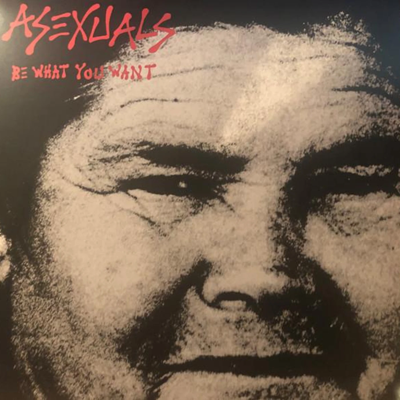 Asexuals Be What You Want Vinyl Record