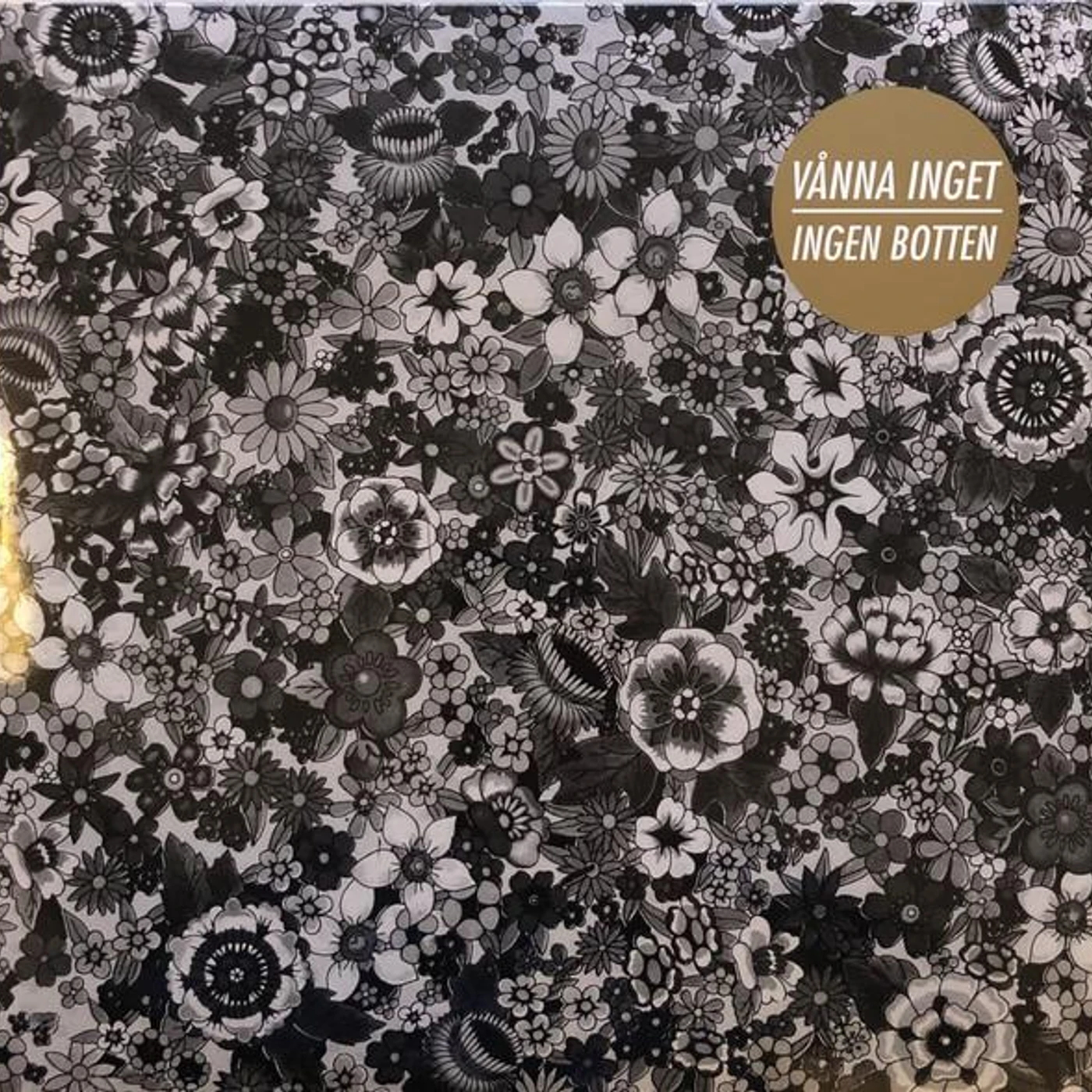 Vånna Inget Ingen Botten Vinyl Record