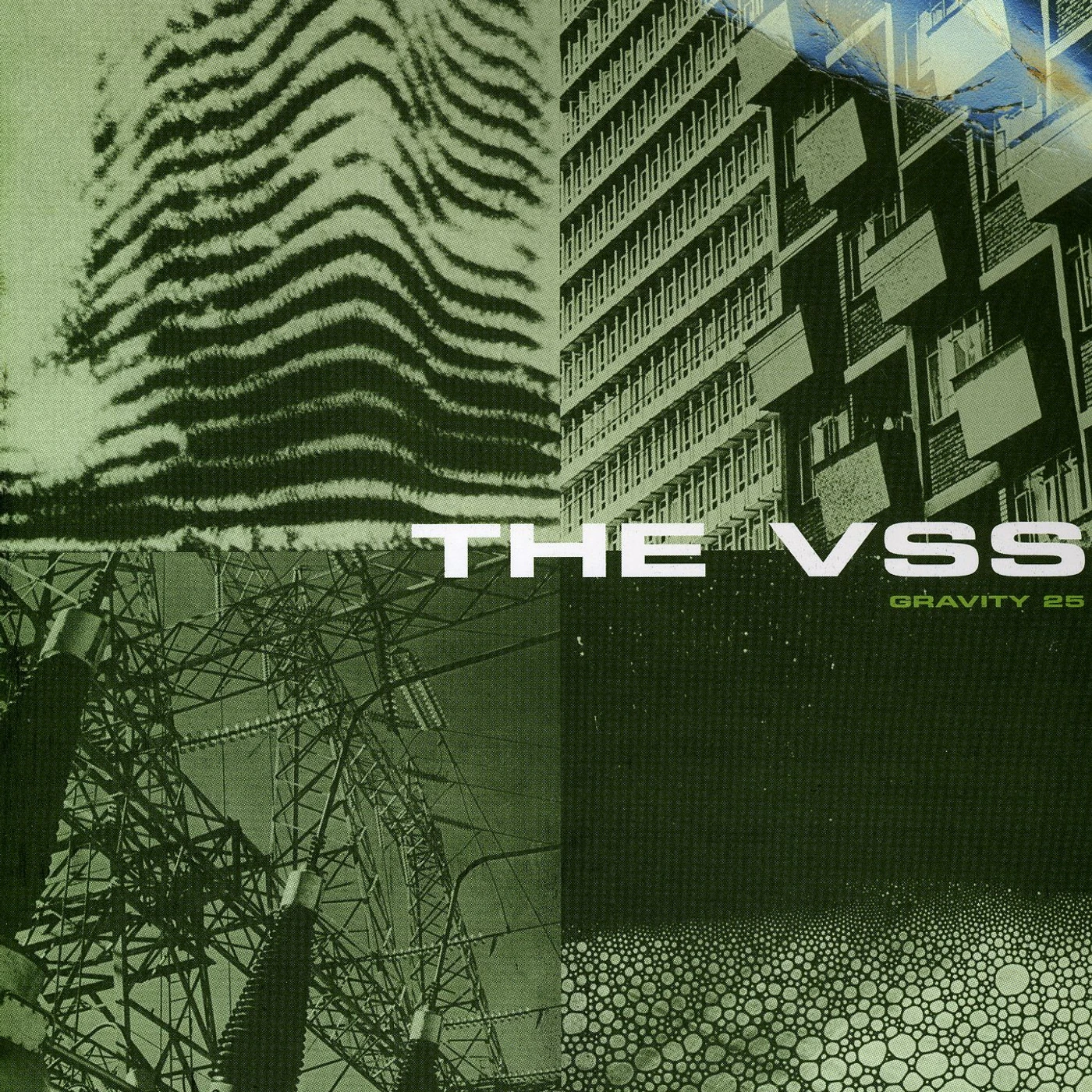 The VSS RESPONSE Vinyl Record