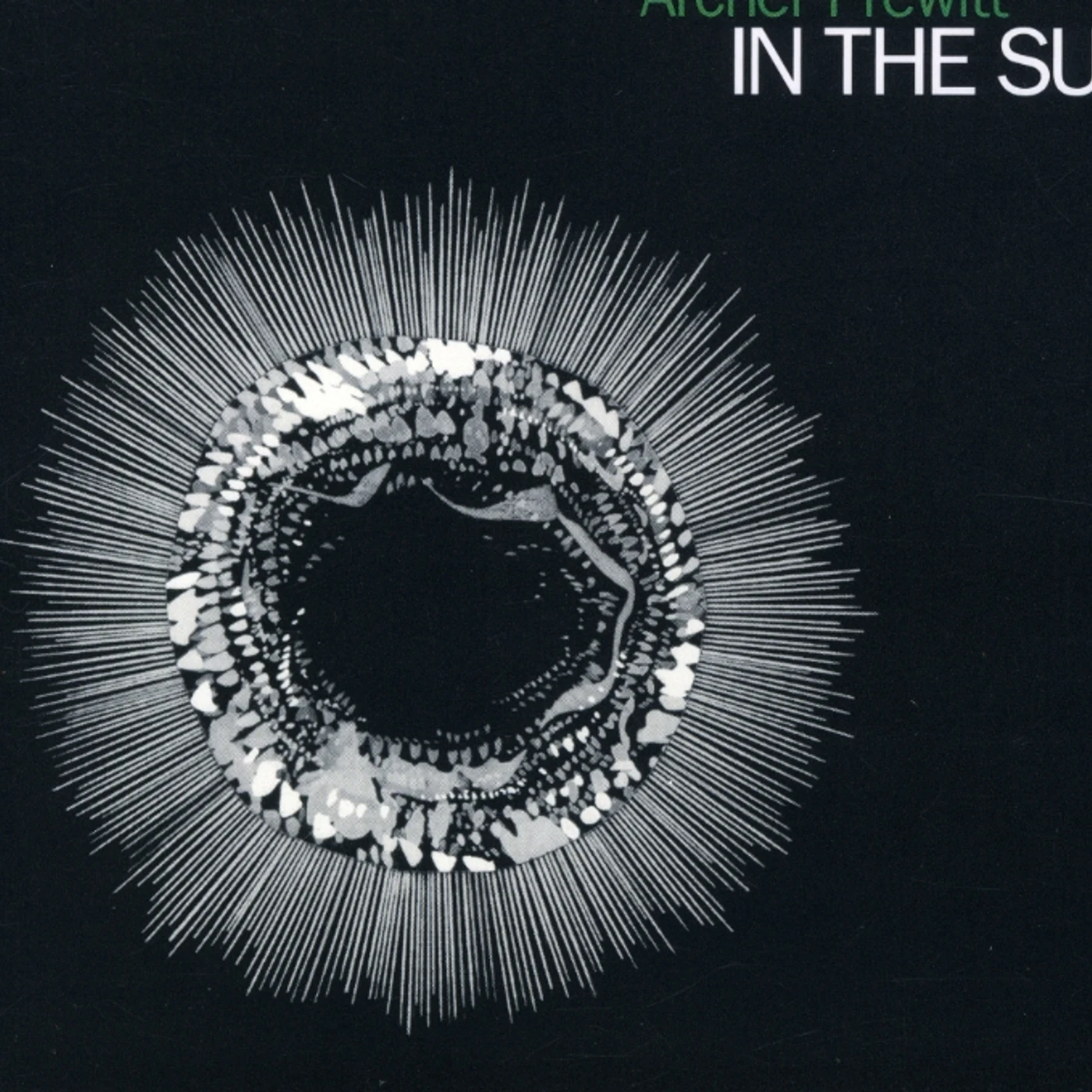 Archer Prewitt IN THE SUN CD