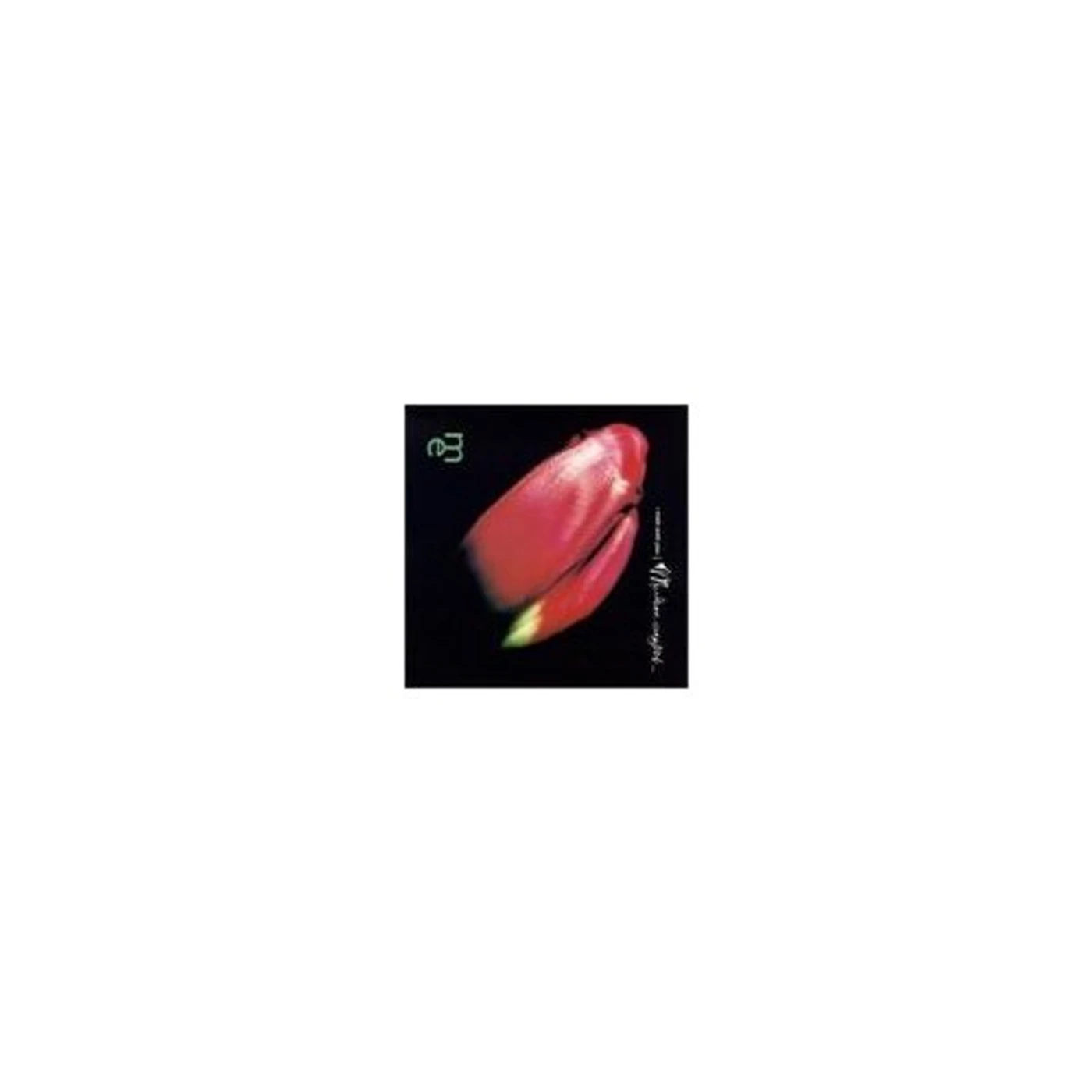 Modern English I Melt With You Vinyl Record