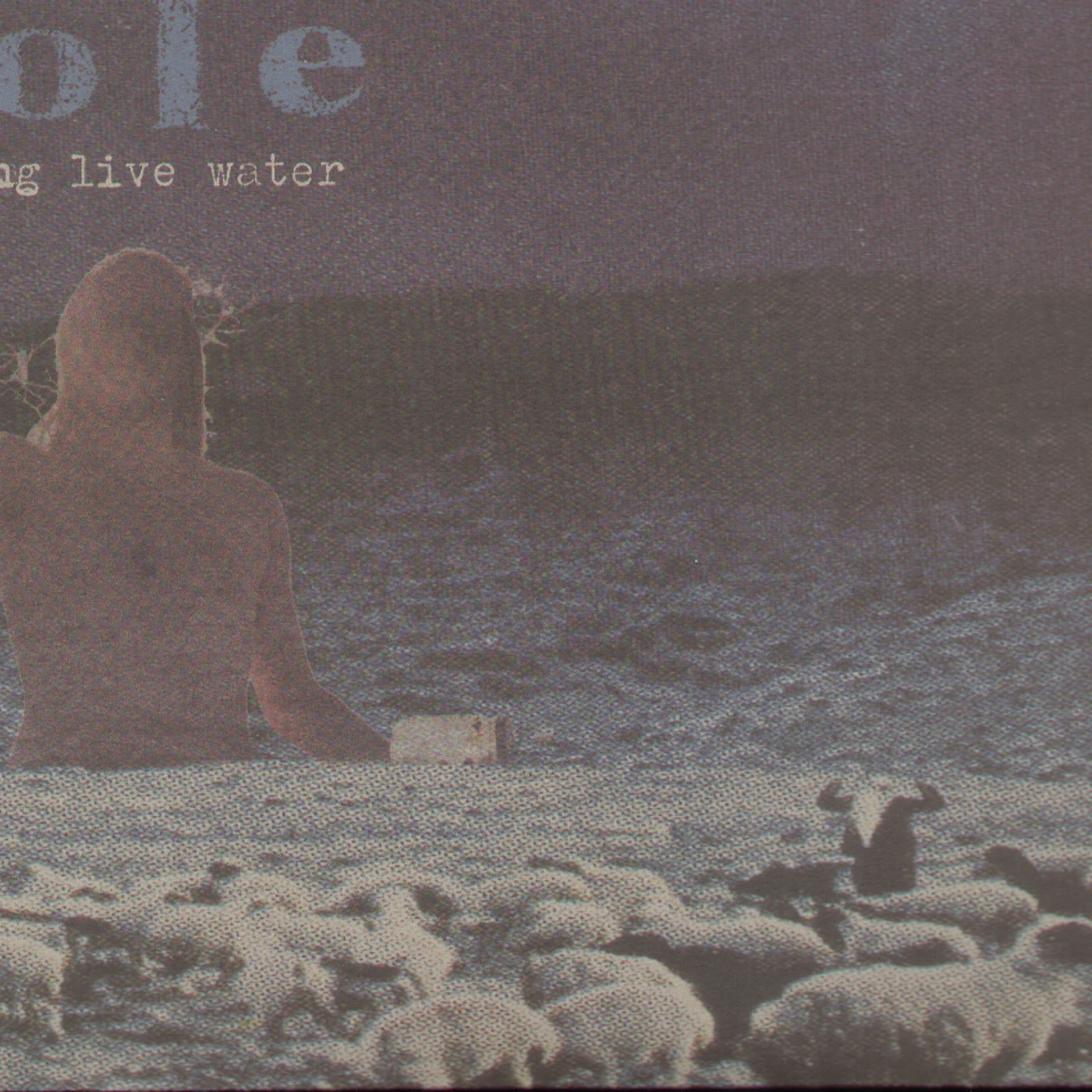 Sole Selling Live Water Vinyl Record