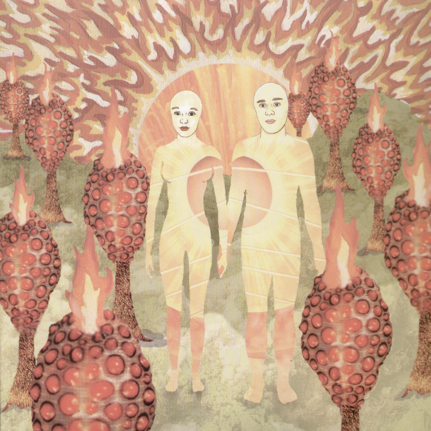 of Montreal SUNLANDIC TWINS Vinyl Record