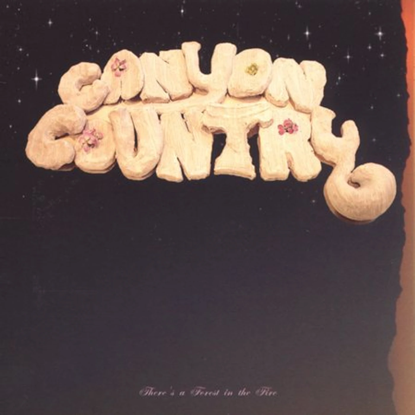 Canyon Country THERE'S A FOREST IN THE FIRE CD