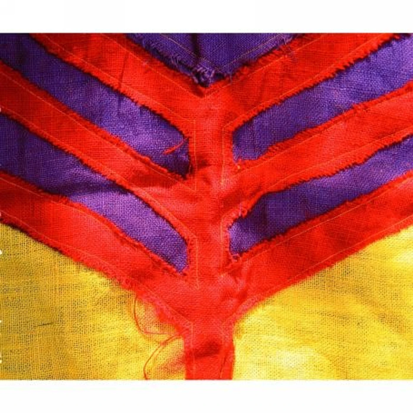 Yeah Yeah Yeahs Show Your Bones Vinyl Record