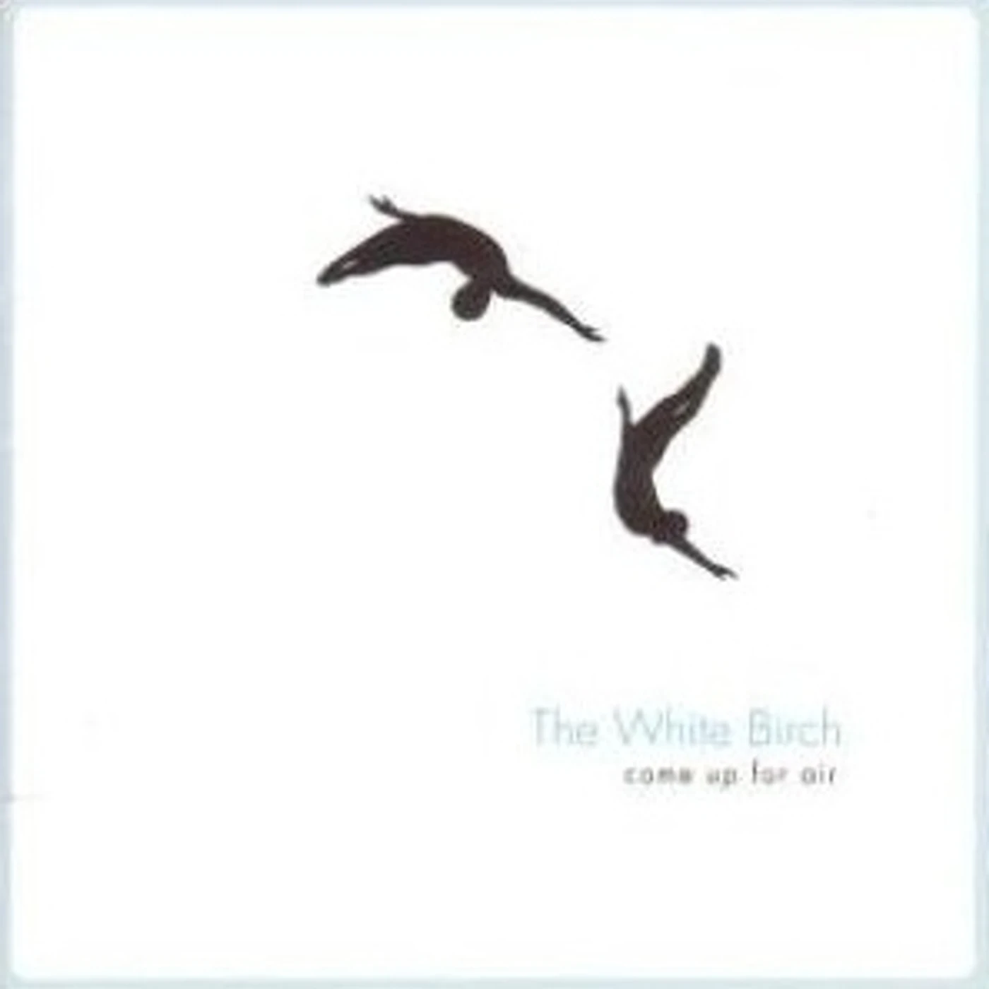 The White Birch Come Up For Air Vinyl Record