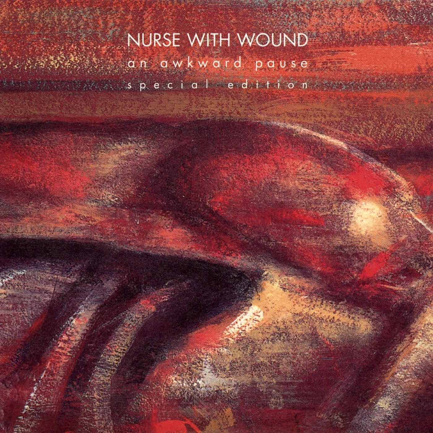 Nurse With Wound AWKWARD PAUSE CD