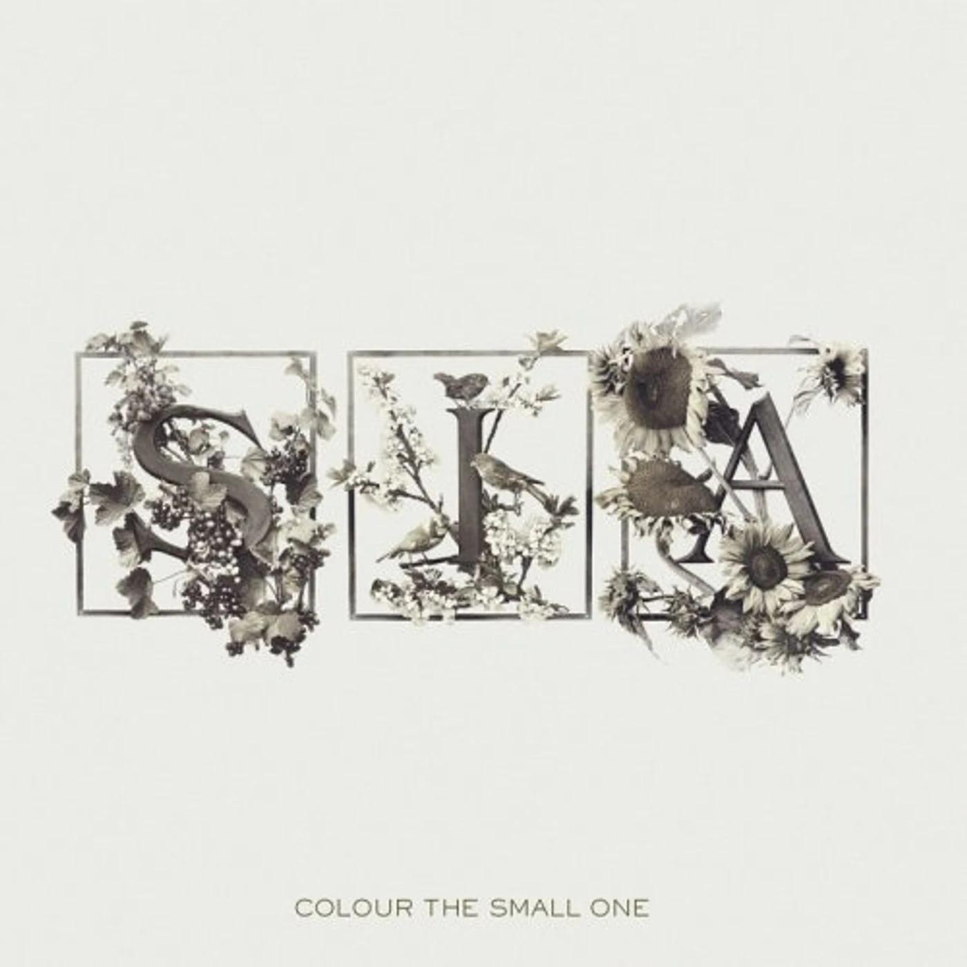 Sia COLOUR THE SMALL ONE CD