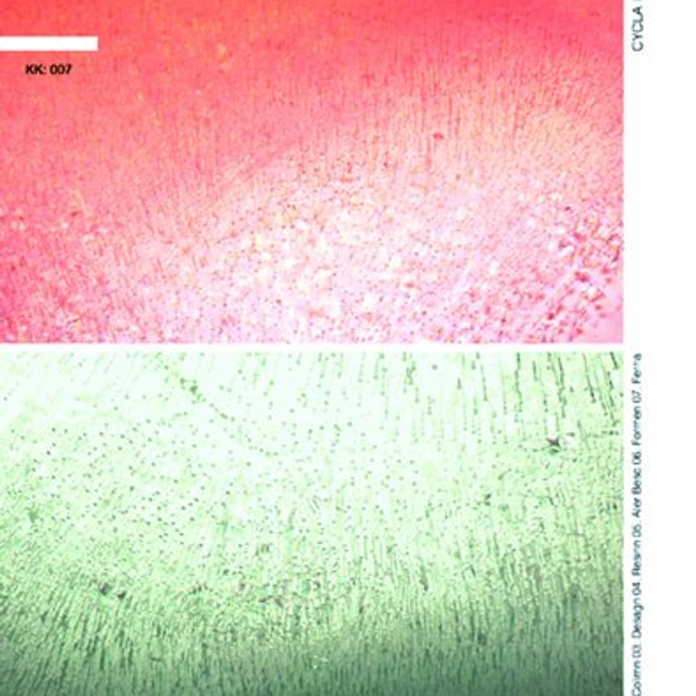Level CYCLA CD