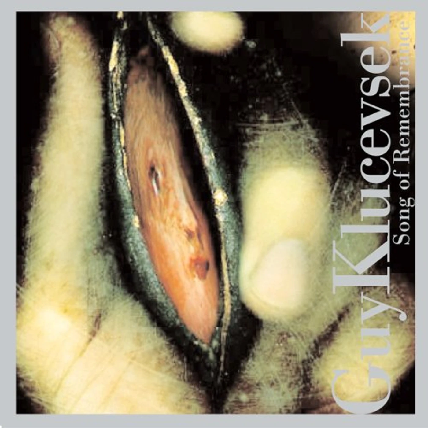 Guy Klucevsek SONG OF REMEMBRANCE CD