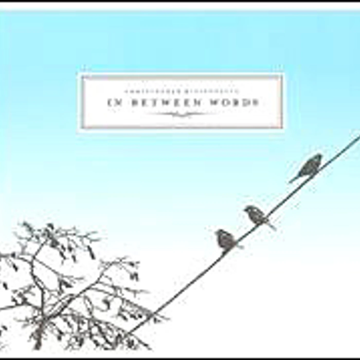 Christopher Bissonnette IN BETWEEN WORDS CD