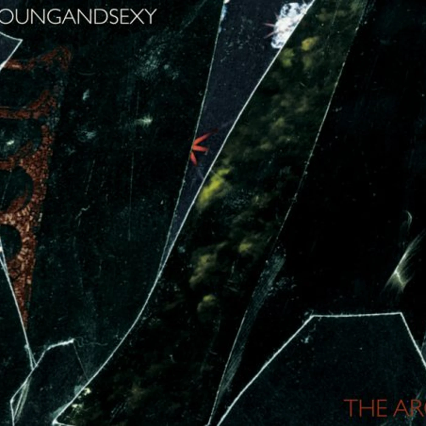Young and Sexy ARC CD