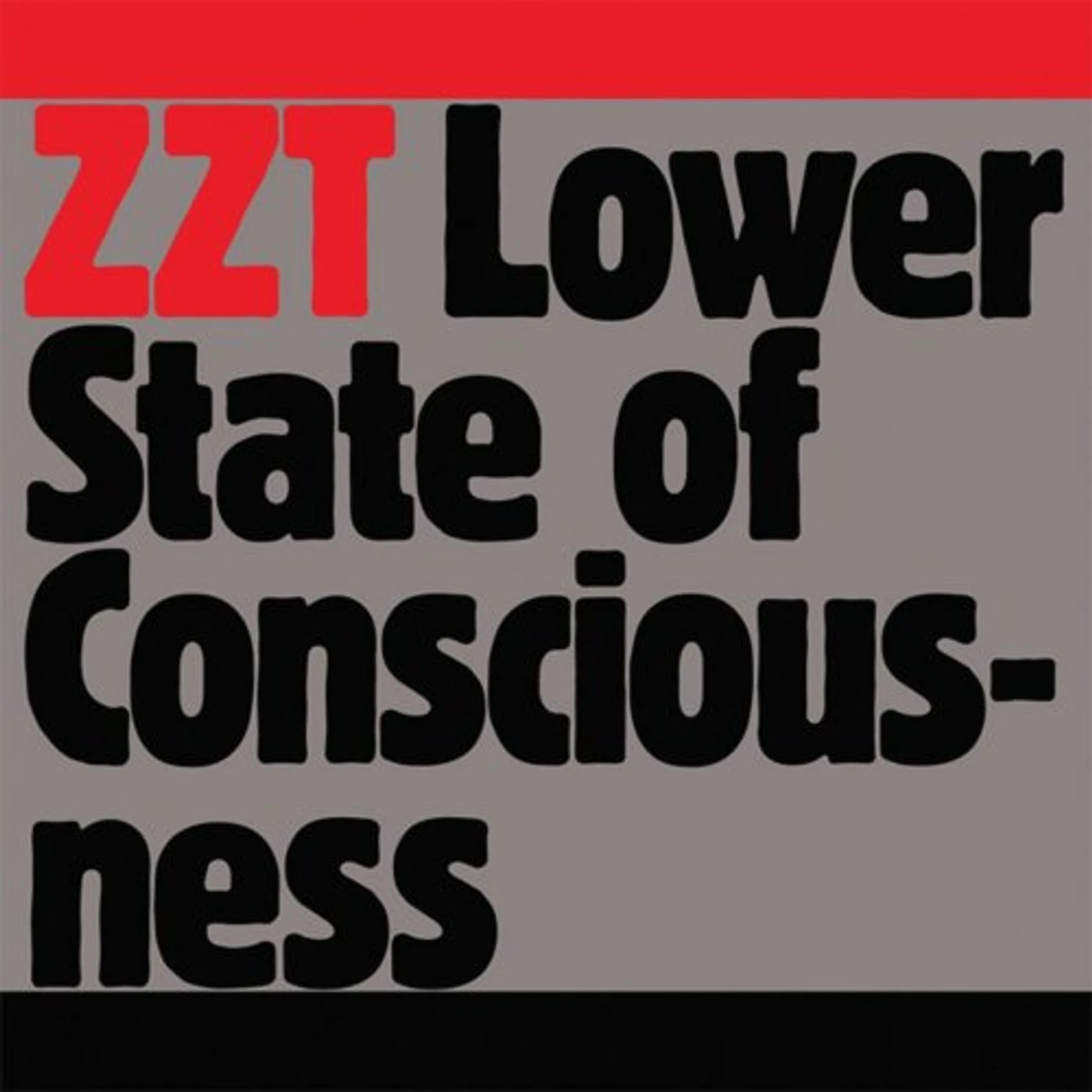 ZZT Lower State Of Consciousness Vinyl Record