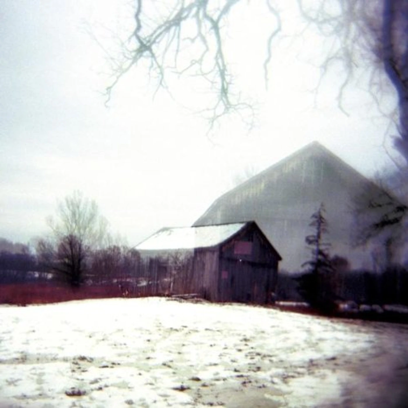 Horse Feathers House With No Home Vinyl Record