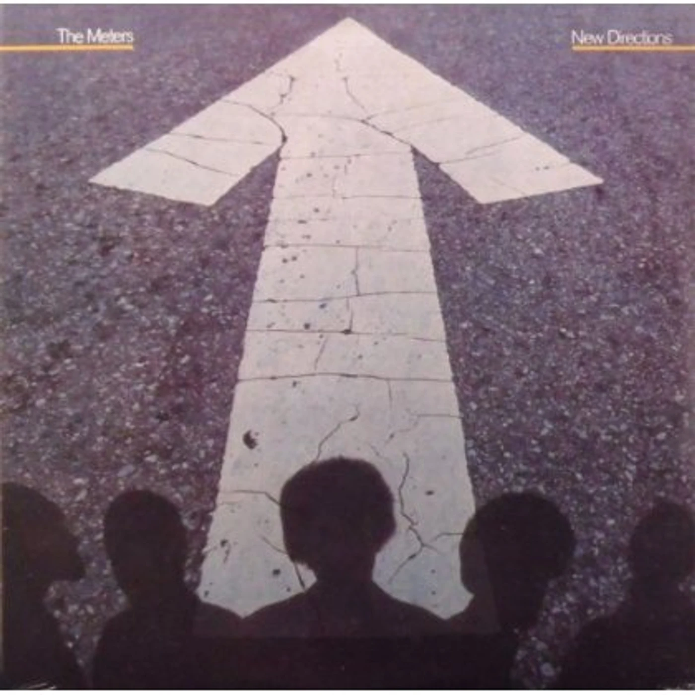 The Meters NEW DIRECTIONS Vinyl Record