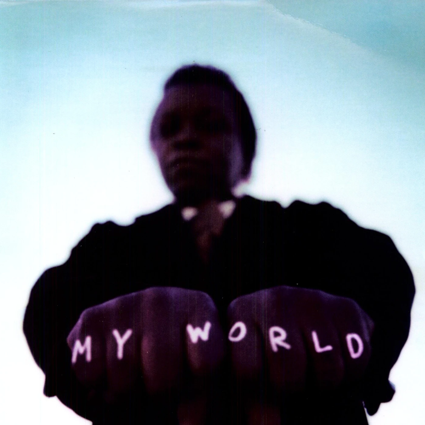 Lee Fields & The Expressions My World Vinyl Record